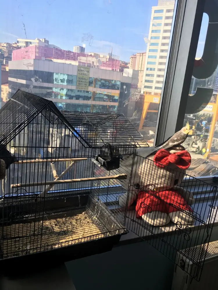 Özel Kağıthane Nar Tanesi Özel Eğitim ve Rehabilitasyon Merkezi — Fizyoterapistler, Kağıthane · fotoğraf 3