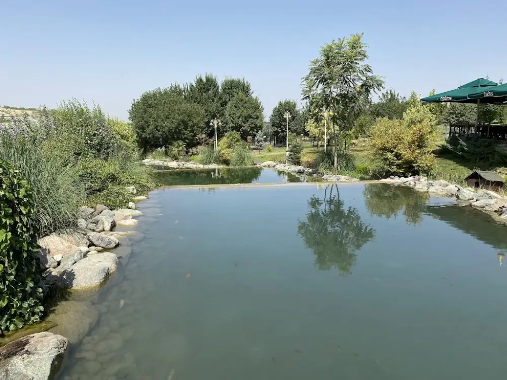Malatya Hayvanat Bahçesi — Yüzme Havuzları, Battalgazi · fotoğraf 3