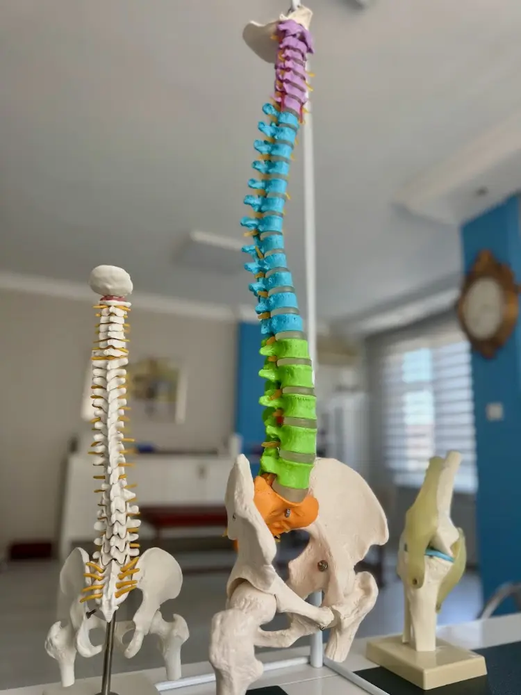 İstanbul Fizyoterapi Kliniği — Fizyoterapistler, Bakırköy · fotoğraf 3