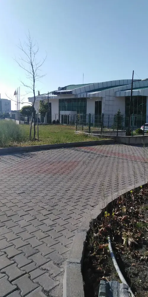Beü Yarı Olimpik Yüzme Havuzu — Yüzme Havuzları · fotoğraf 5