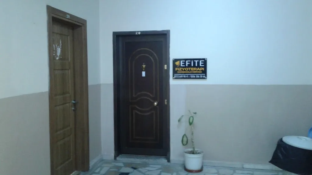 EFİTE EVDE FİZYOTERAPİ VE OMURGA SAĞLIĞI DANIŞMANLIK MERKEZİ — Fizyoterapistler, Gaziosmanpaşa · fotoğraf 1
