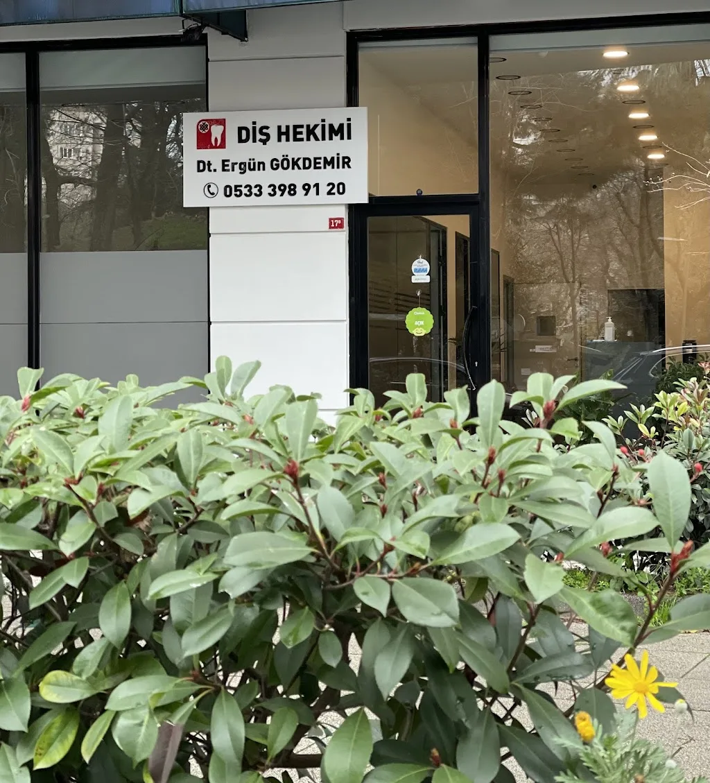 Dt. Ergün Gökdemir, Diş Hekimi — Diş Hekimleri, Kadıköy · fotoğraf 1