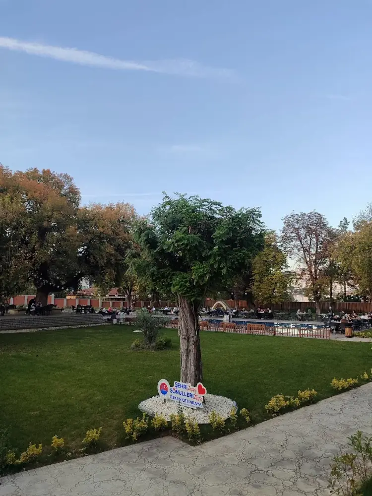 Havuzlu Bahçe — Yüzme Havuzları, Merkez · fotoğraf 3