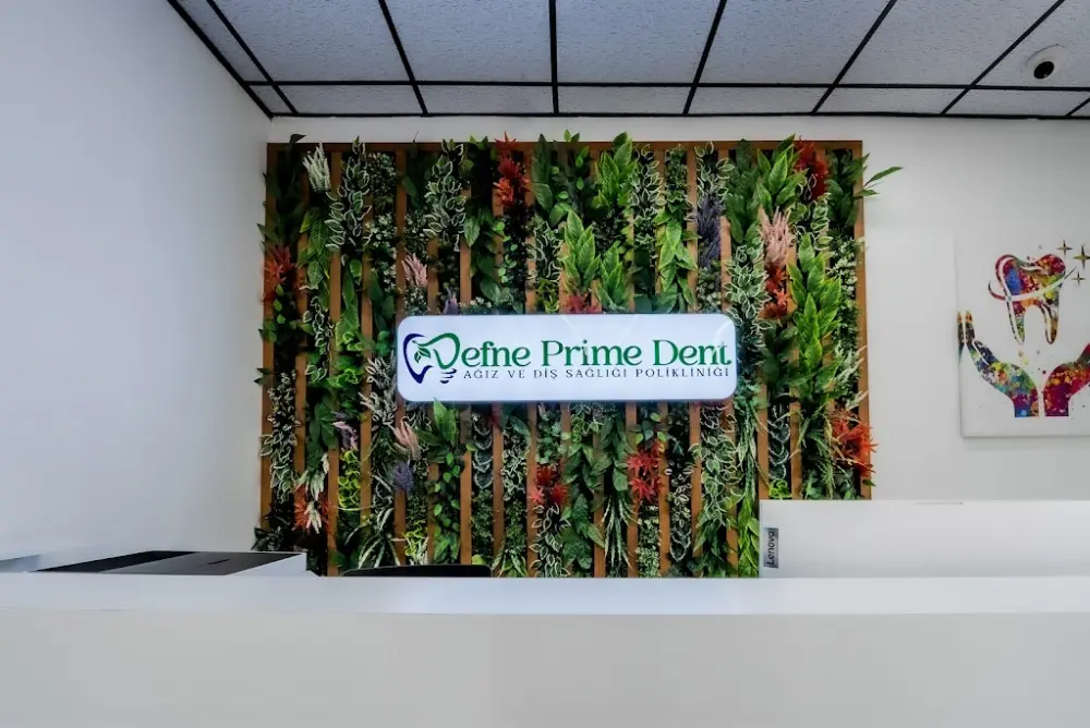 Defne Prime Dent - Istanbul Ataşehir Diş Kliniği — Diş Hekimleri, Ataşehir · fotoğraf 4