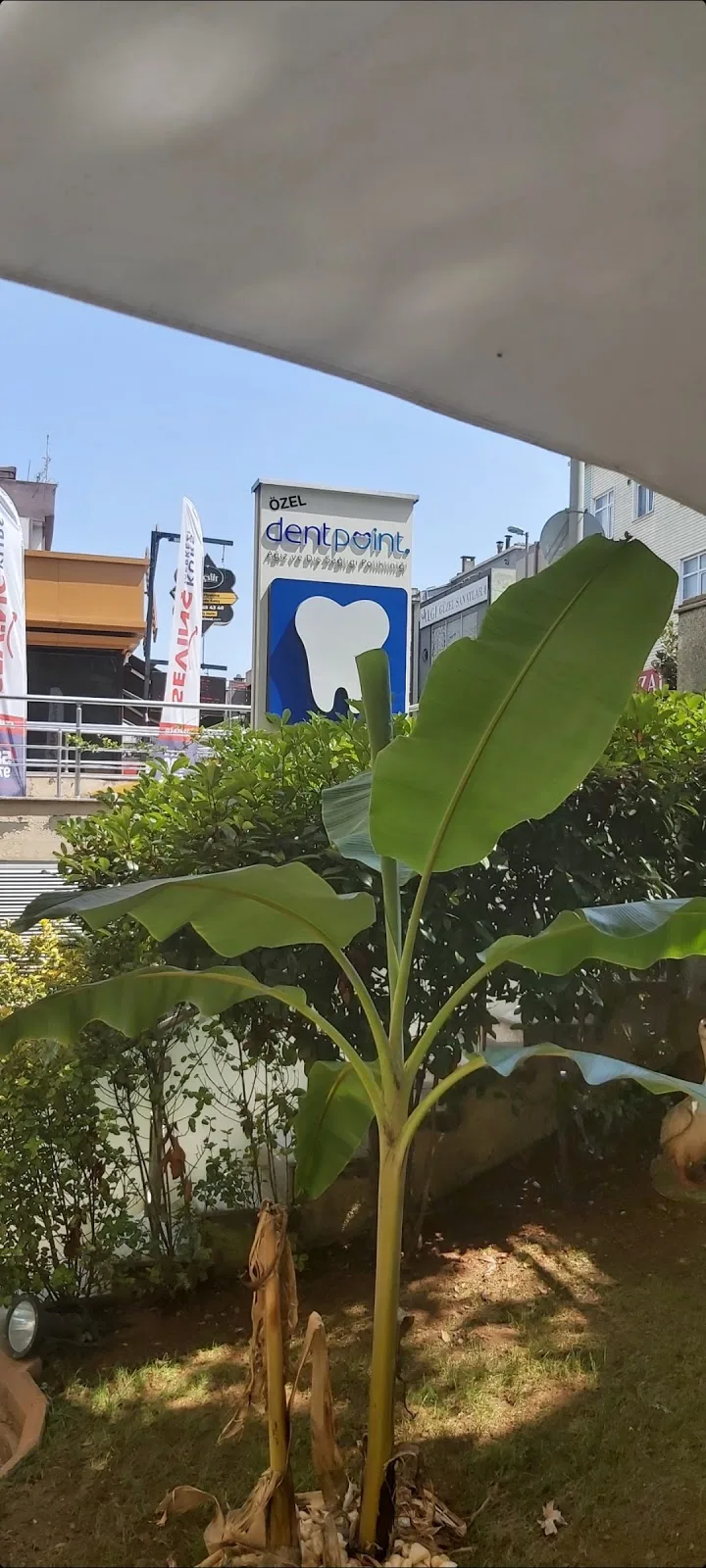 Dentpoint Ağız Ve Diş Sağlığı Polikliniği — Diş Hekimleri, Ataşehir · fotoğraf 1