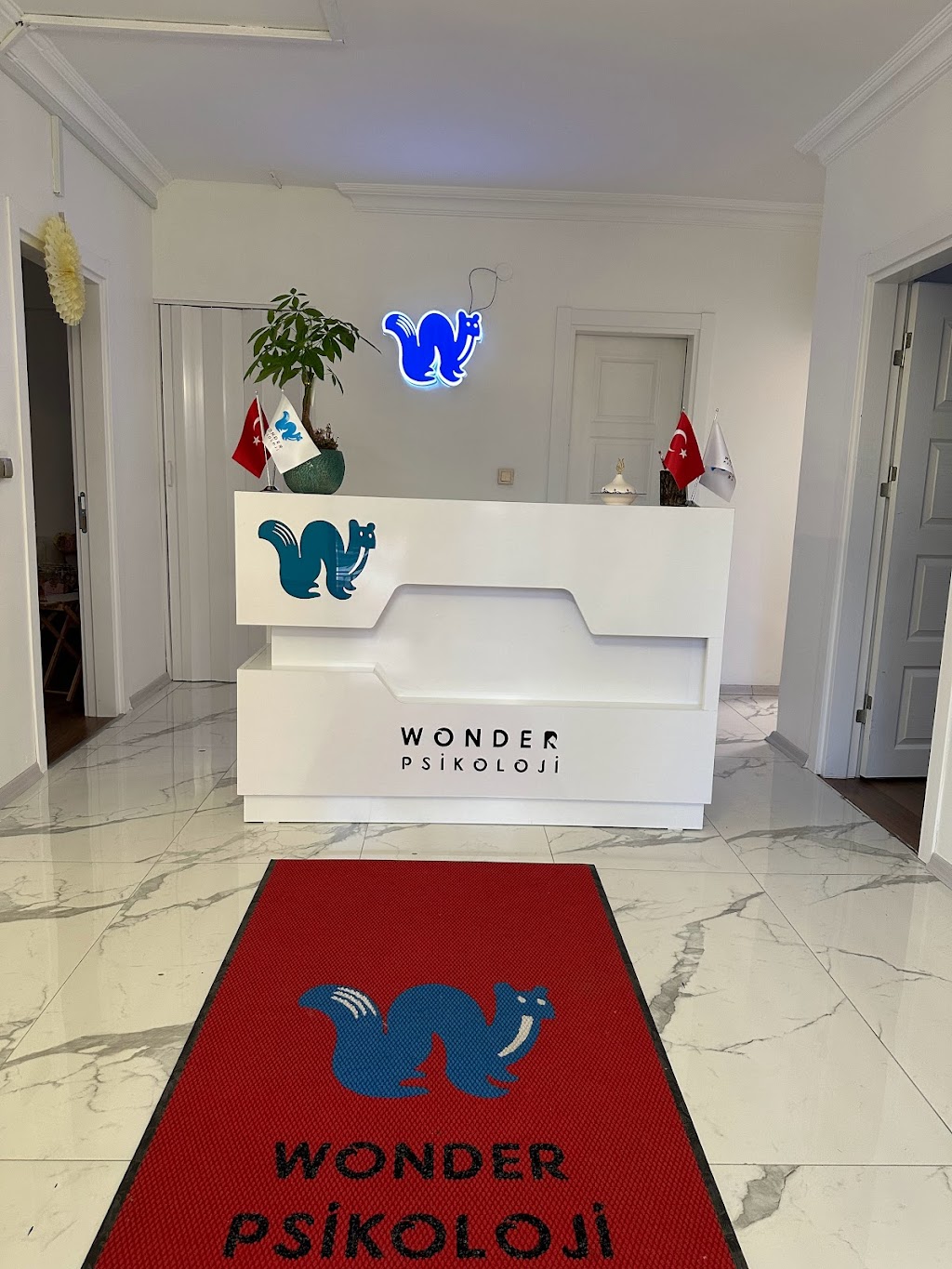 Wonder Psikoloji