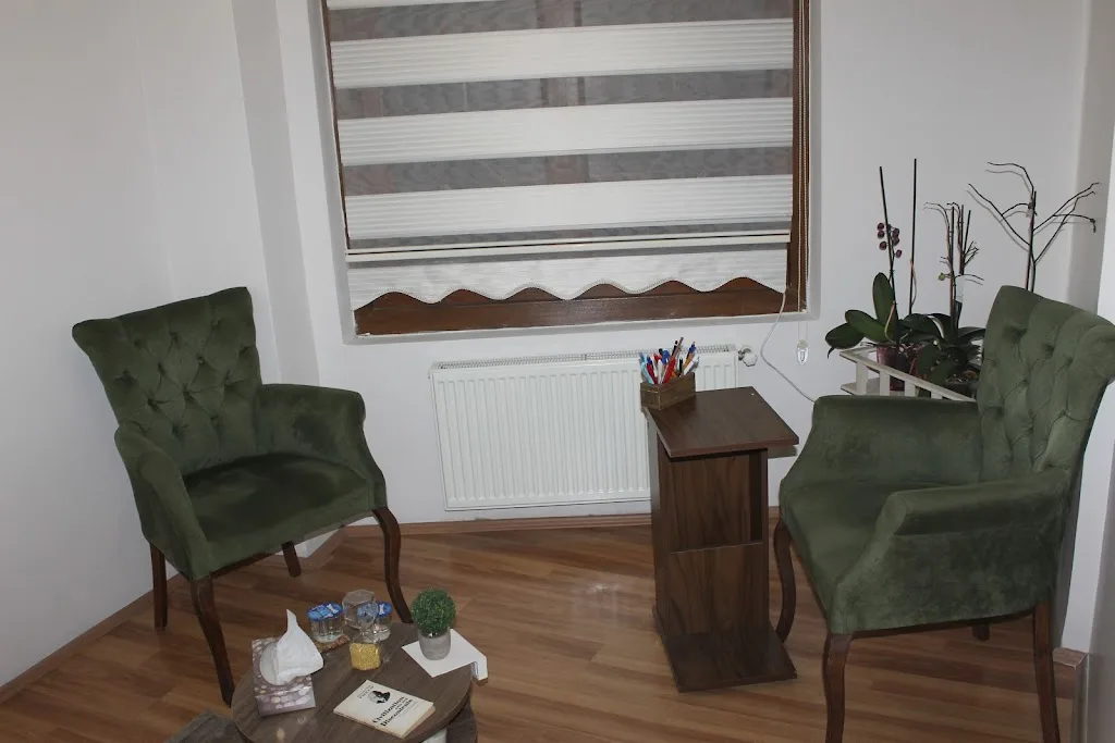 Armoni Psikolojik Danışmanlık Merkezi - Uzman Klinik Psikolog Eda MALKAV — Psikologlar, Gaziosmanpaşa · fotoğraf 1