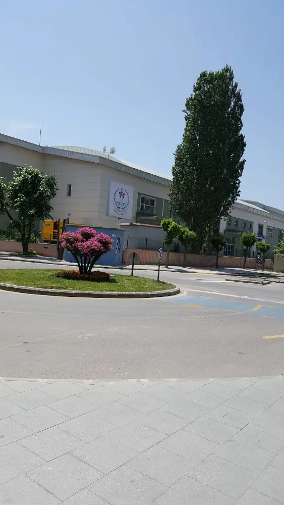 Yalova Kapalı Spor Salonu — Yüzme Havuzları, Merkez · fotoğraf 2