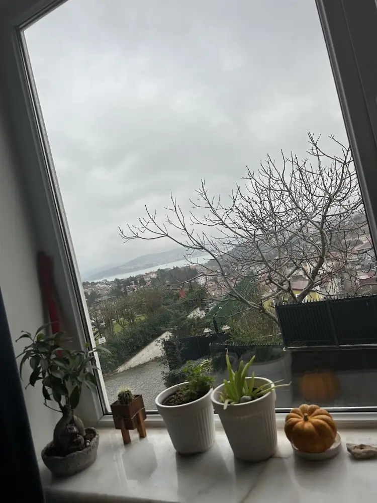 Psikolog Özlem Kolancı — Psikologlar, Beykoz · fotoğraf 2