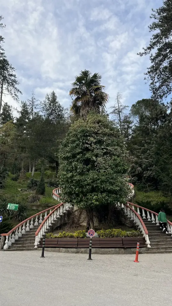 termal havuzu — Yüzme Havuzları, Termal · fotoğraf 4