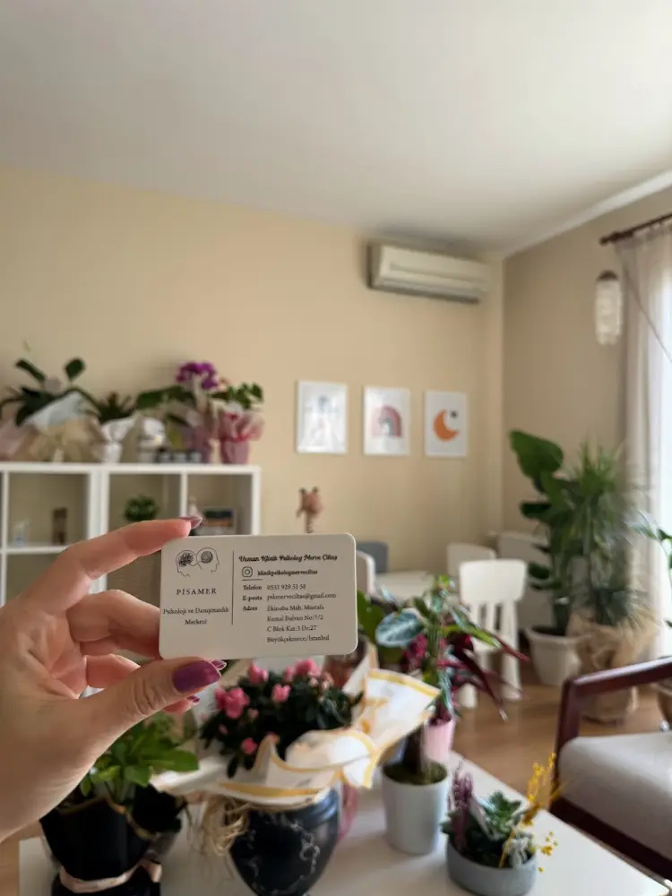Pisamer Psikoloji - Uzm Klinik Psikolog Merve Çiltaş Demirdelen — Psikologlar, Büyükçekmece · fotoğraf 3