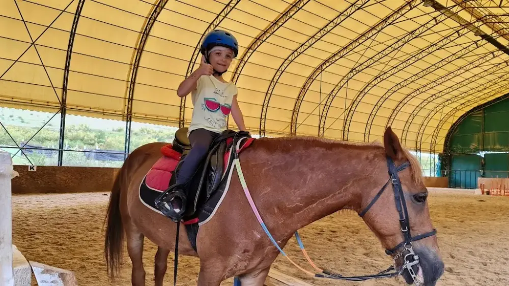 Yalova Atlı Spor Kulübü — Yüzme Havuzları, Çiftlikköy · fotoğraf 2