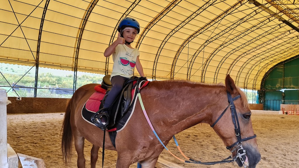 Yalova Atlı Spor Kulübü