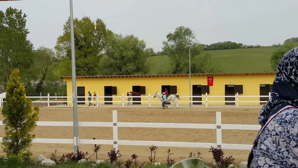 Yalova Atlı Spor Kulübü — Yüzme Havuzları, Çiftlikköy · fotoğraf 3