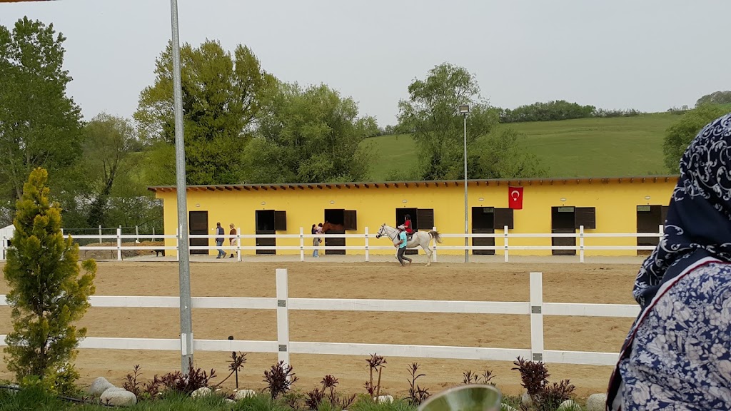 Yalova Atlı Spor Kulübü
