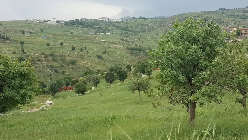 Ahmet ÖZCAN — Yüzme Havuzları, Merkez · fotoğraf 2