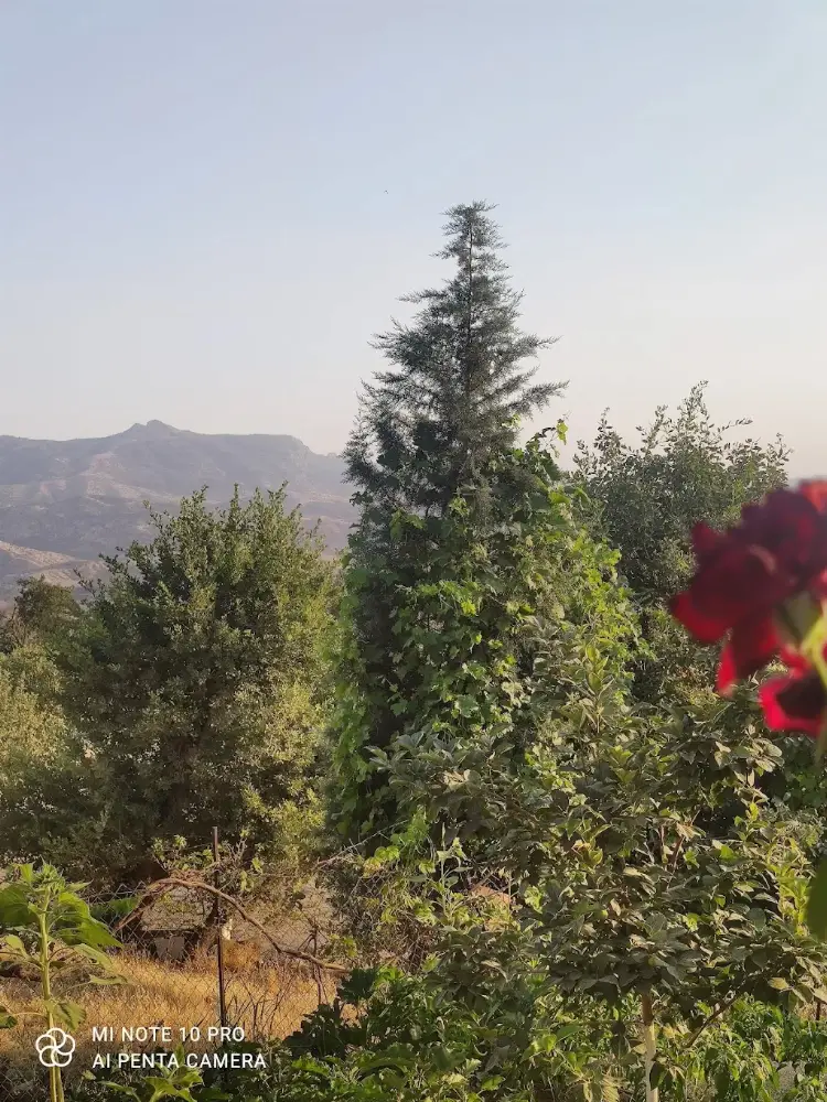 Ahmet ÖZCAN — Yüzme Havuzları, Merkez · fotoğraf 3