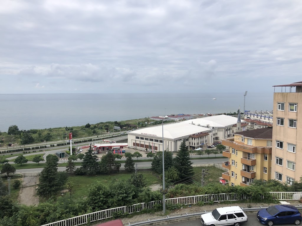 İstalia Psikoloji