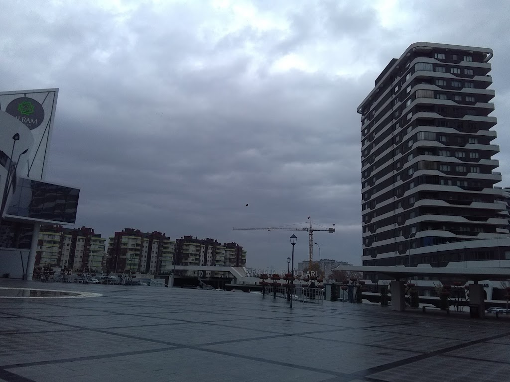 Psk. Dan. Serpil Tüfekci, Psikolojik Danışma ve Rehberlik