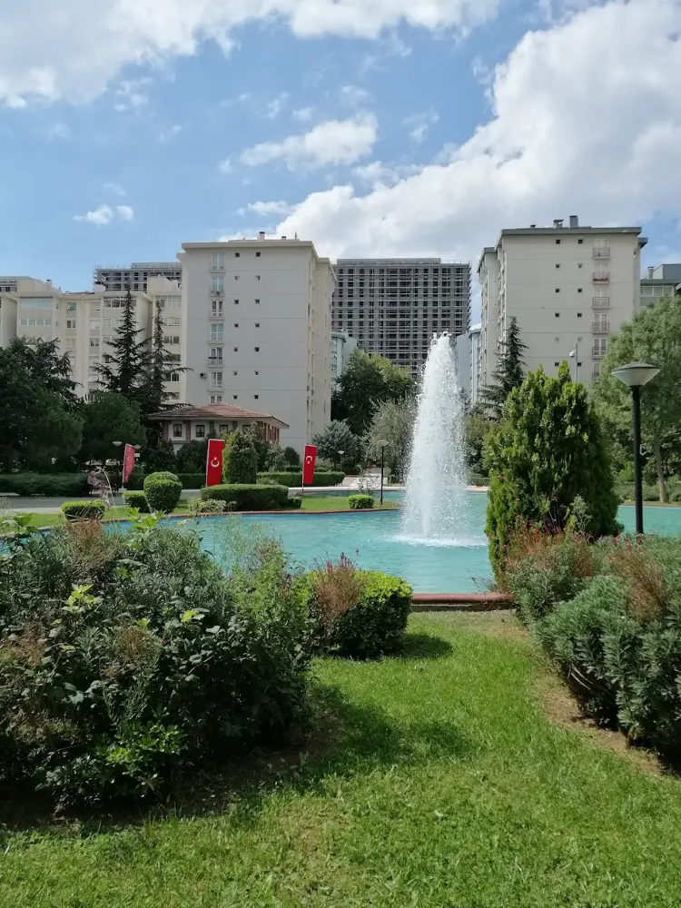 Kartal Psikolog | Pinova Psikolojik Danışmanlık Merkezi — Psikologlar, Kartal · fotoğraf 4