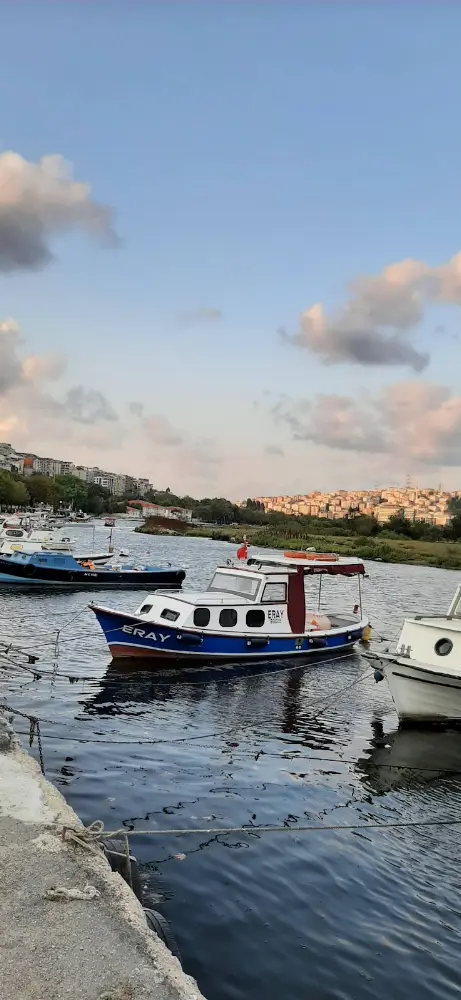 Özne Psikoloji/Maltepe Psikolog/Kartal Psikolog — Psikologlar, Maltepe · fotoğraf 4