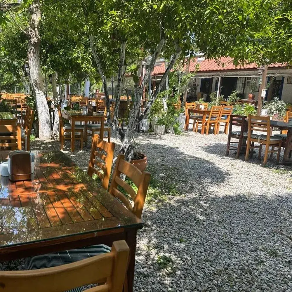 Bağarası Restaurant Bodrum — Akdeniz mutfağı, Bodrum · fotoğraf 2