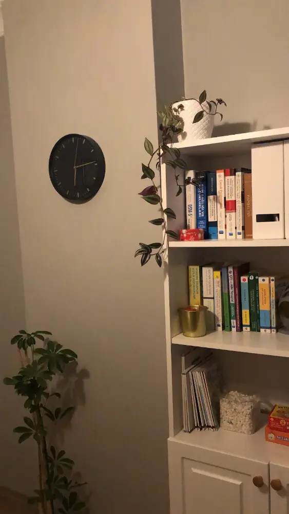 Klinik Psikolog Melisa Arslan Özel — Psikologlar, Kadıköy · fotoğraf 4