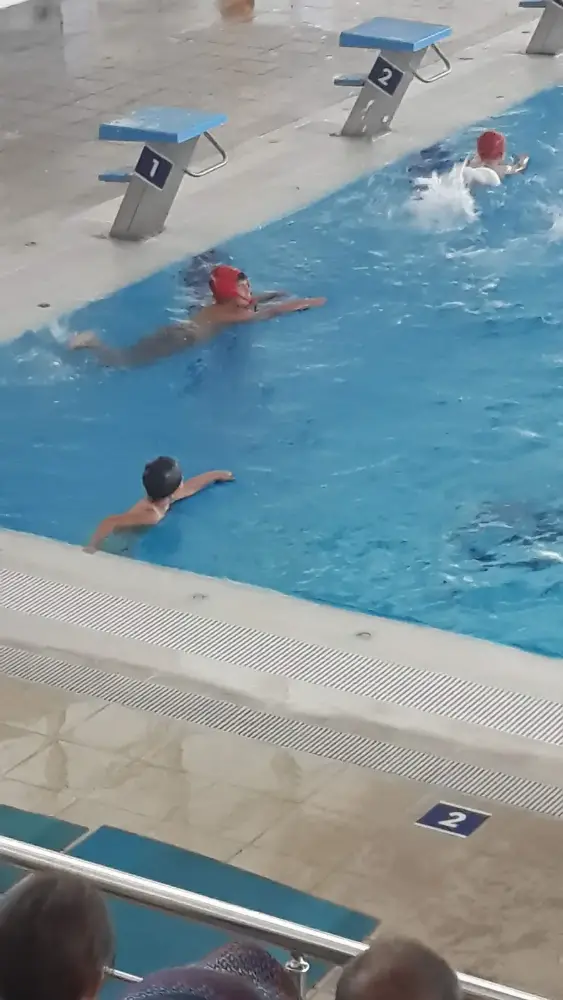 Aksaray Olimpik Kapalı Yüzme Havuzu — Yüzme Havuzları, Merkez · fotoğraf 3