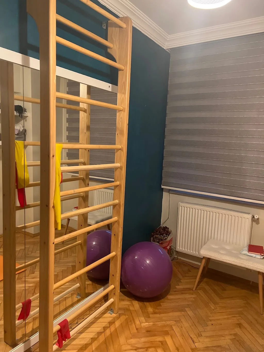 FizyoFlexy (Fizyoterapi Danışmanlığı& Skolyoz Schroth Terapi& Klinik Pilates&Manuel Terapi ) — Fizyoterapistler, Merkez · fotoğraf 1
