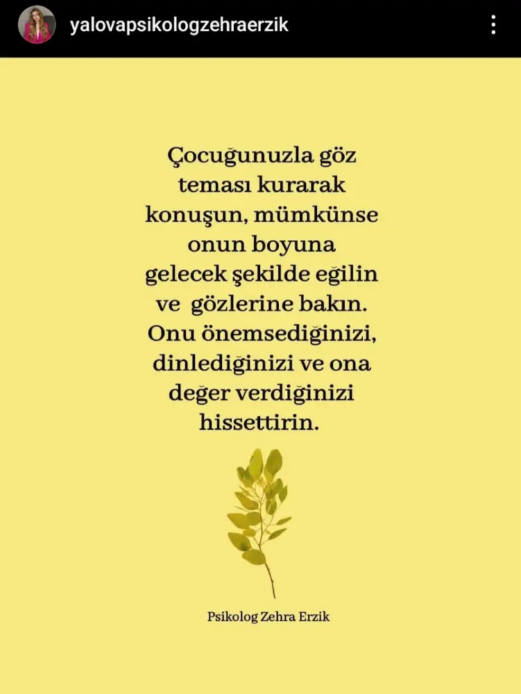 Psikolog Zehra Erzik | Çocuk - Ergen - Yetişkin - Çift - Ebeveyn Danışmanlığı — Psikologlar, Çınarcık · fotoğraf 2