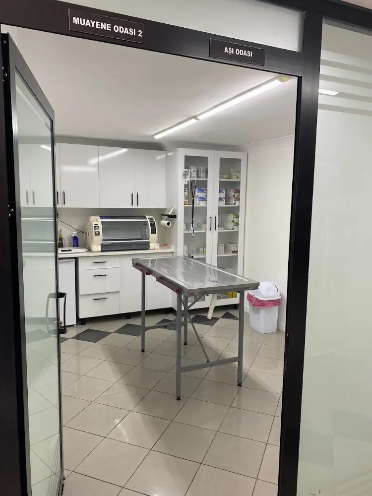 Çınarcık Teti Veteriner Kliniği — Eczaneler, Çınarcık · fotoğraf 3