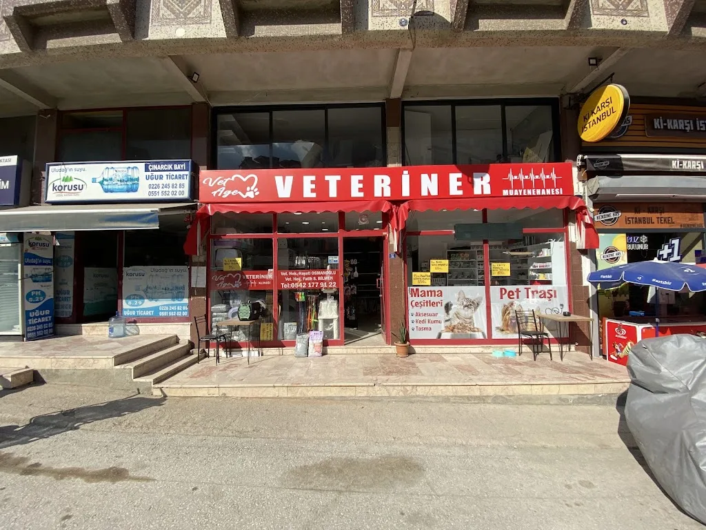 VetAge Veteriner Kliniği Çınarcık — Eczaneler, Çınarcık · fotoğraf 1