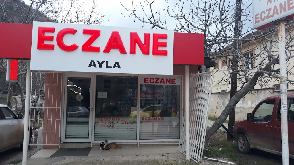Teşvikiye Ayla Eczanesi — Eczaneler, Çınarcık · fotoğraf 1
