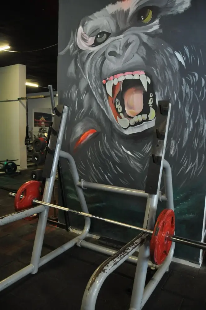 Power Cıty Fıtness — Fitness Merkezleri, Çınarcık · fotoğraf 3