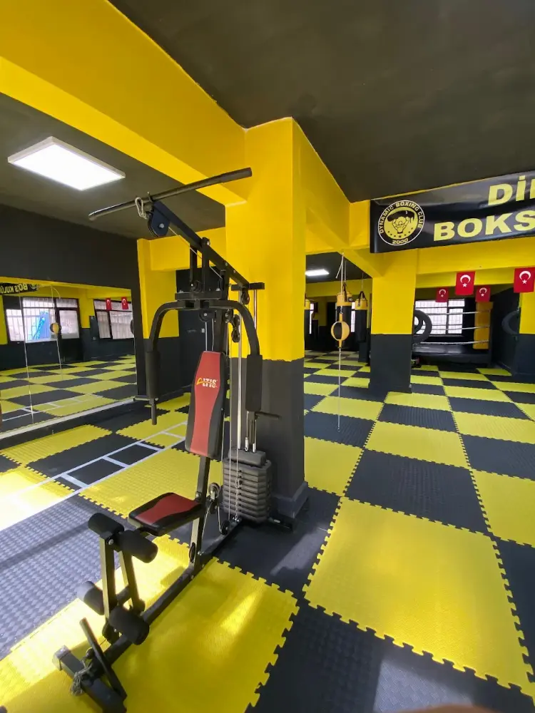 ÇINARCIK DİNAMİK BOKS KULÜBÜ — Fitness Merkezleri, Çınarcık · fotoğraf 2