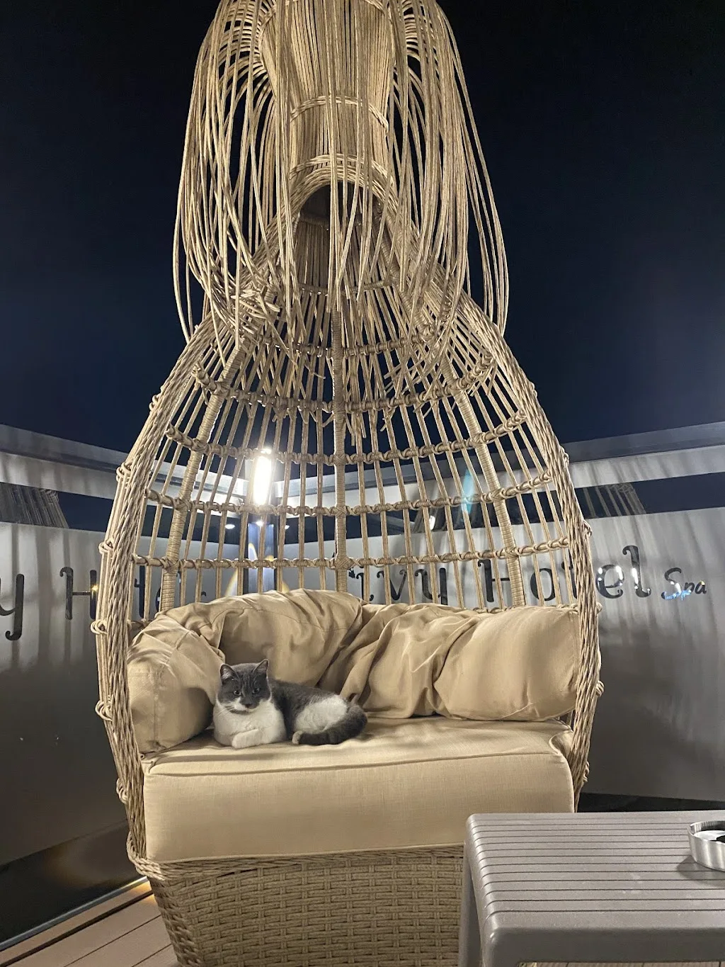 ivy Hotel Spa Çınarcık — Termal Oteller, Çınarcık · fotoğraf 1