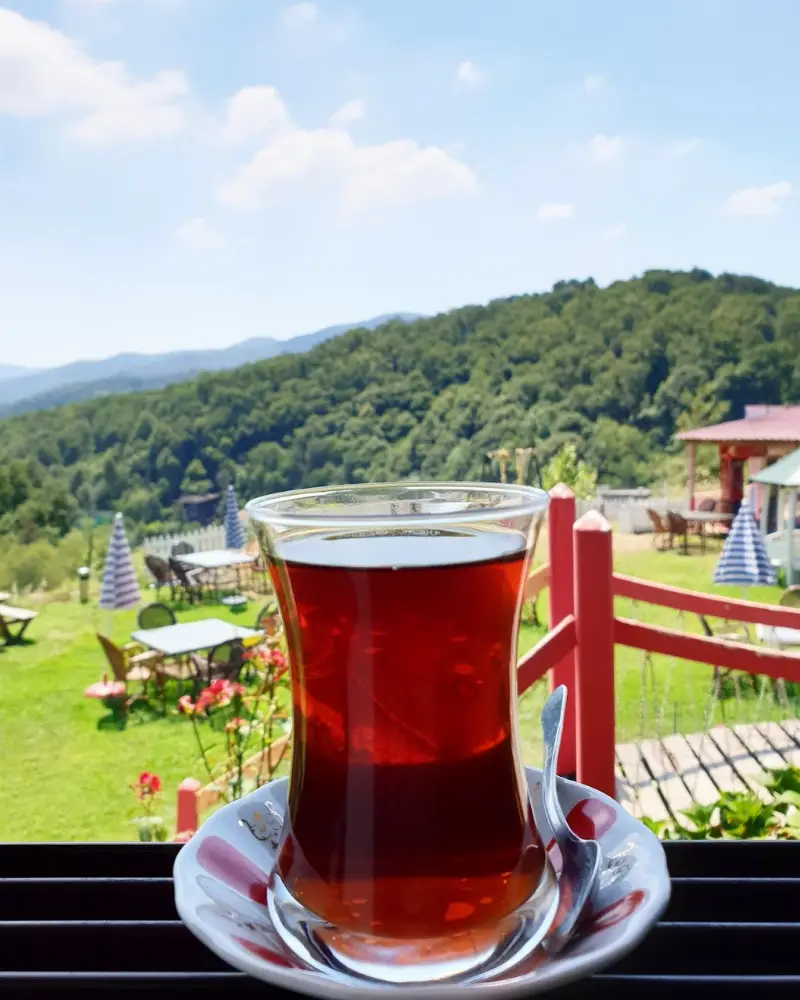 Acarlar Zümrüt Bahçe — Termal Oteller, Termal · fotoğraf 4
