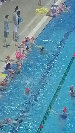 Trabzon yüzme ihtisas spor kulubü — Yüzme Havuzları, Ortahisar · fotoğraf 5
