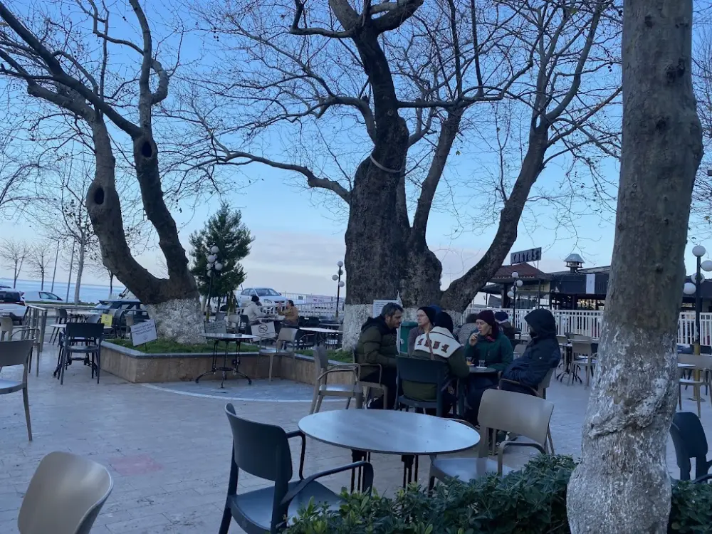 Çınaraltı Aile Çay Bahçesi — Bilardo Salonları, Çınarcık · fotoğraf 4
