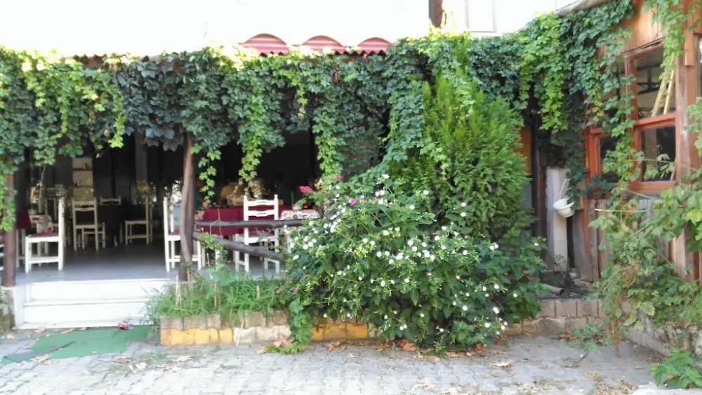 Cafe Nova Aile Çay Bahçesi — Bilardo Salonları, Çınarcık · fotoğraf 3