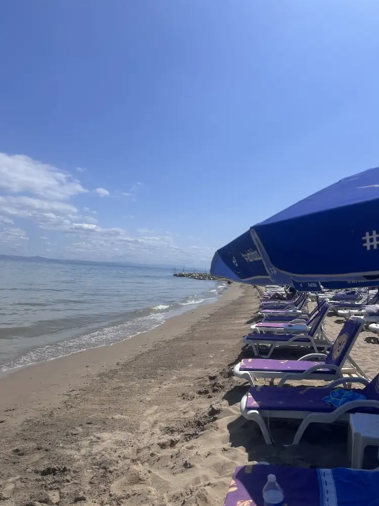 Familya Beach & Event Garden — Bilardo Salonları, Çınarcık · fotoğraf 4