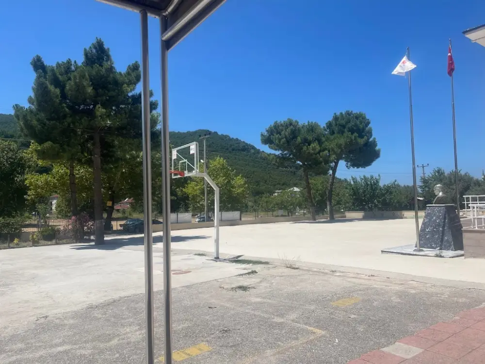 Teşvikiye Cumhuriyet İlkokulu — İlköğretim, Orta öğretim ve Liseler, Çınarcık · fotoğraf 2
