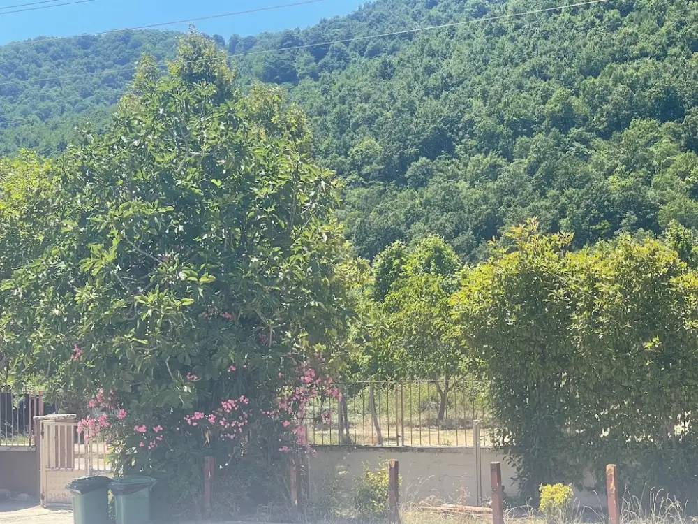 Teşvikiye Cumhuriyet İlkokulu — İlköğretim, Orta öğretim ve Liseler, Çınarcık · fotoğraf 3
