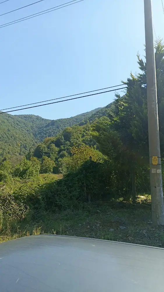 Koruköy İlköğretim Okulu — İlköğretim, Orta öğretim ve Liseler, Çınarcık · fotoğraf 3