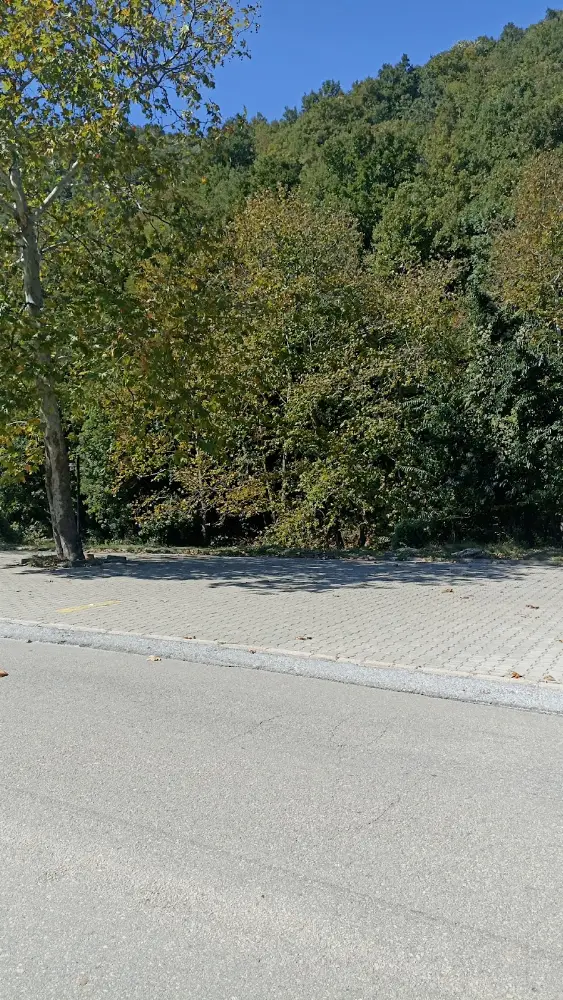 Koruköy İlköğretim Okulu — İlköğretim, Orta öğretim ve Liseler, Çınarcık · fotoğraf 4