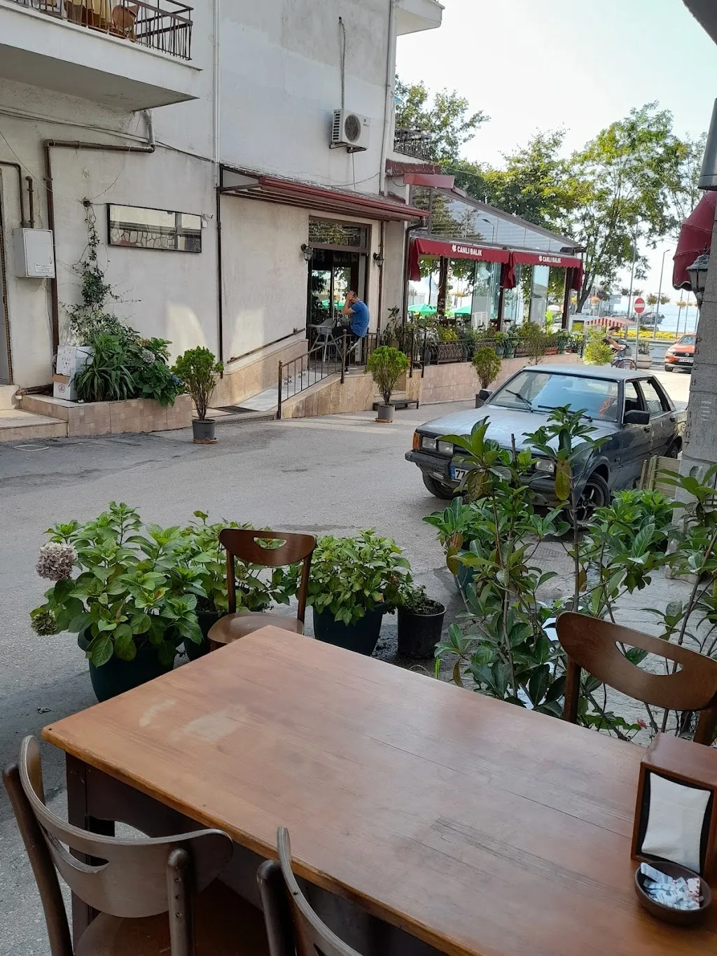Canlı Balık Restaurant — Balık Lokantaları, Çınarcık · fotoğraf 1