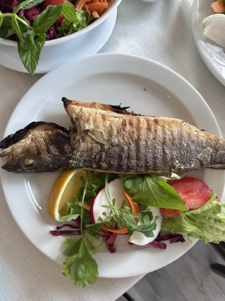 Canlı Balık Restaurant — Balık Lokantaları, Çınarcık · fotoğraf 2