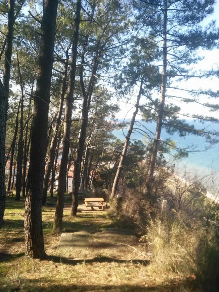 Yalova Serpme Kahvaltı — Balık Lokantaları, Çınarcık · fotoğraf 4