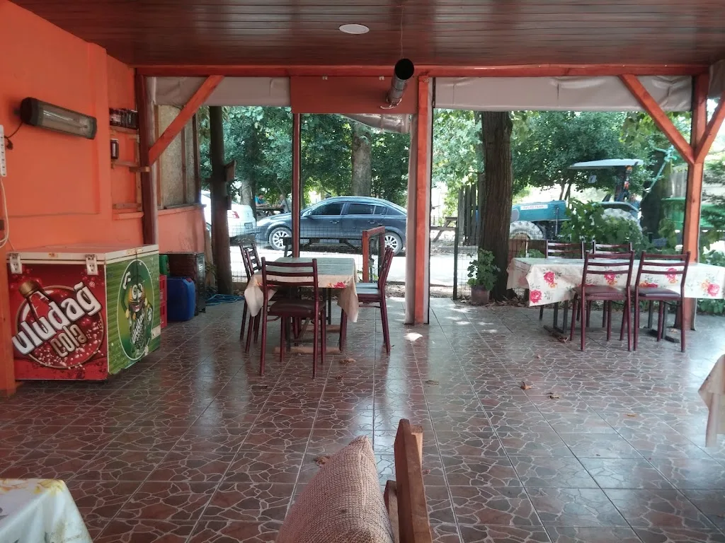 Erol'un Yeri — Balık Lokantaları, Çınarcık · fotoğraf 1