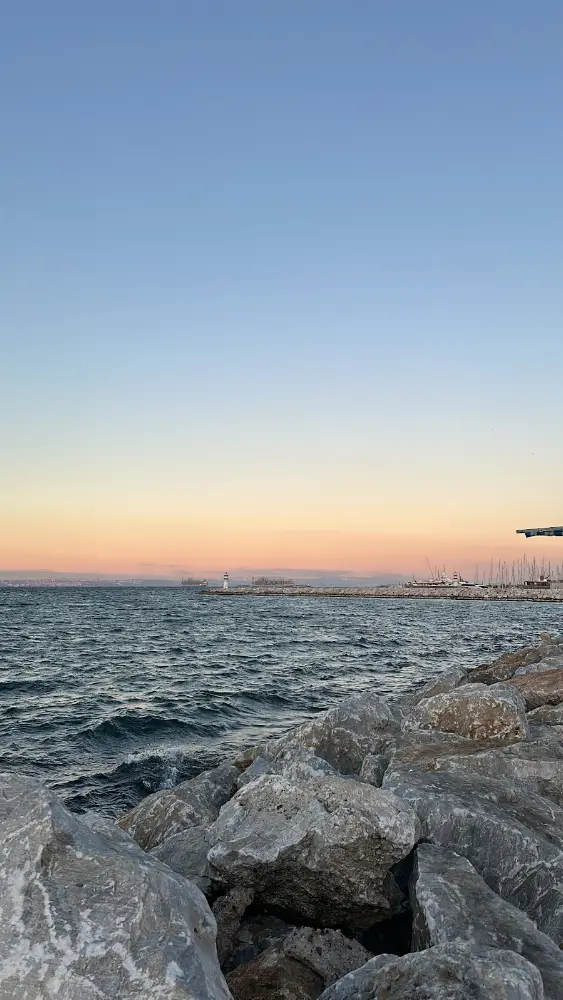 Yalova Balıkçısı — Balık Lokantaları, Merkez · fotoğraf 3